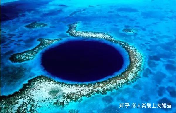 AI公司在抢购“未经污染”的二手书？全球书商收异常巨额订单，18世纪古籍也被交易